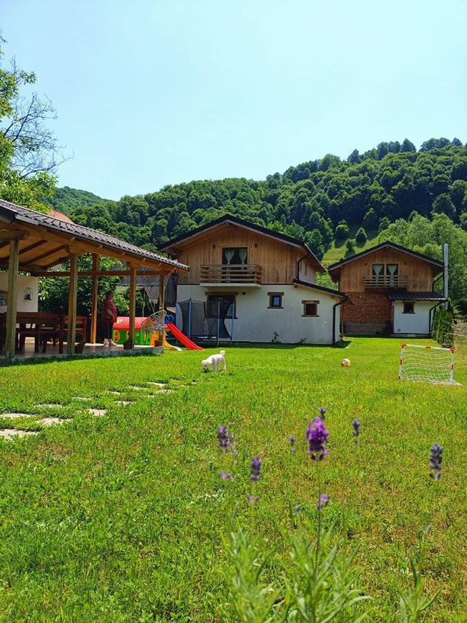 Guest House Carpathia Vişeu de Sus المظهر الخارجي الصورة