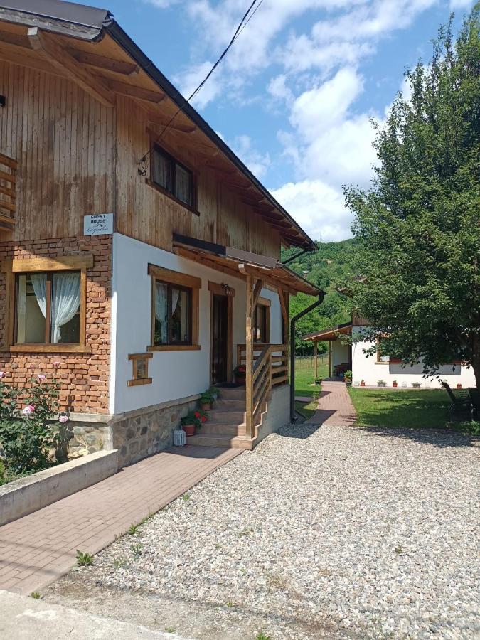 Guest House Carpathia Vişeu de Sus المظهر الخارجي الصورة