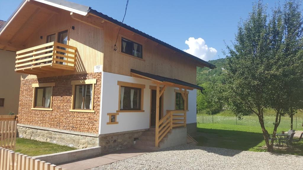 Guest House Carpathia Vişeu de Sus المظهر الخارجي الصورة