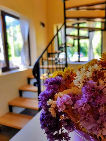 Guest House Carpathia Vişeu de Sus المظهر الخارجي الصورة